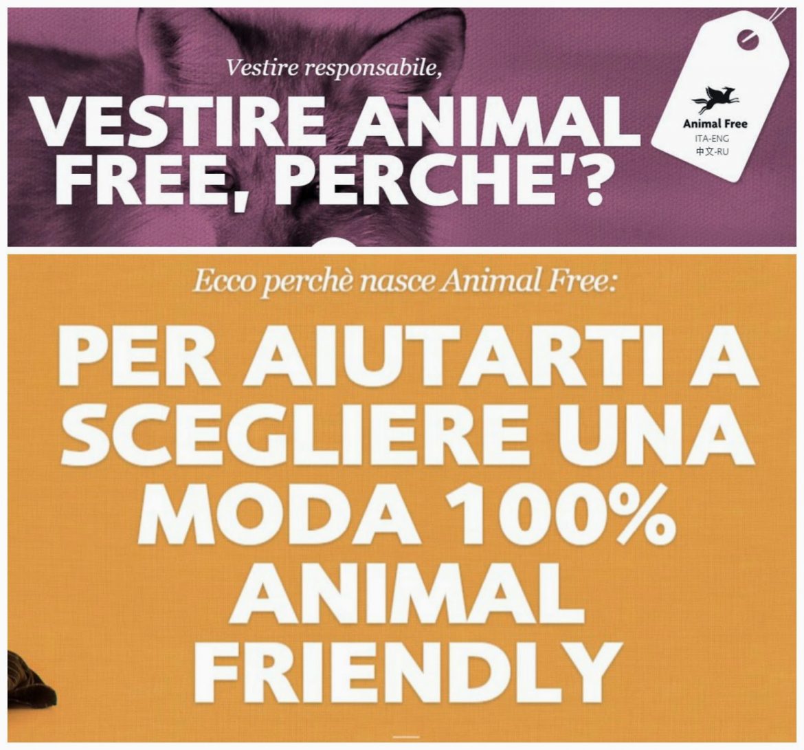 animal free fashion