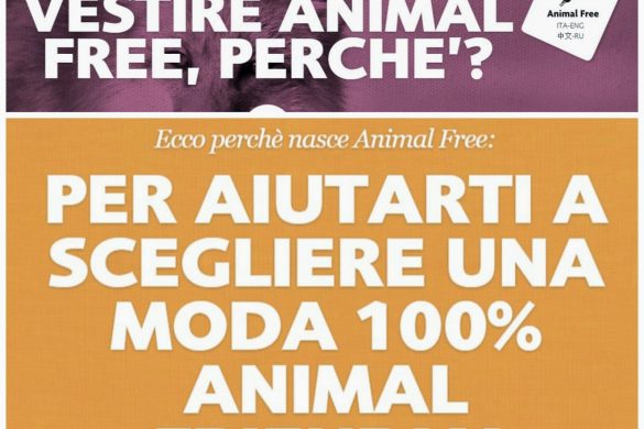 animal free fashion